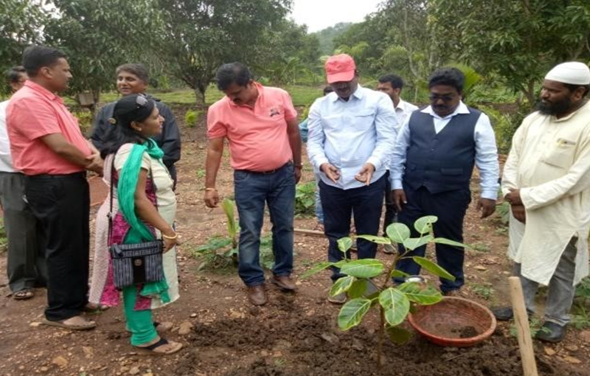 Environmental Awareness Program